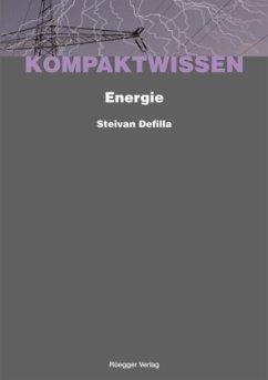 Energiepolitik - Defilla, Steivan