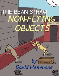 The Bean Straw - Hammons, David