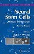 Neural Stem Cells - Bild 1