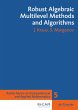 Robust Algebraic Multilevel Methods and... - Bild 1