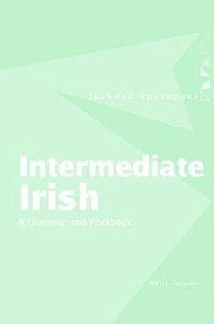 Intermediate Irish: A Grammar and Workbook - Stenson, Nancy