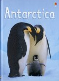 Antarctica Antarctica