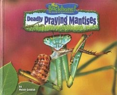 Deadly Praying Mantises - Goldish, Meish