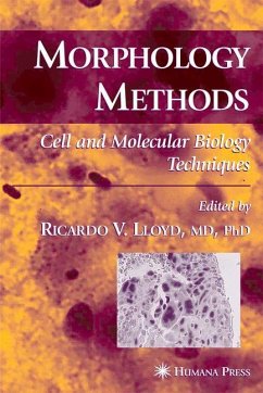 Morphology Methods - Lloyd, Ricardo V. (ed.)