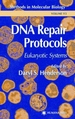 DNA Repair Protocols - Henderson, Daryl S. (ed.)