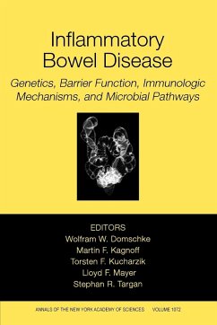 Inflammatory Bowel Disease - Domschke, Wolfram