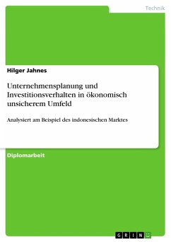 Unternehmensplanung und Investitionsverhalten in ökonomisch unsicherem Umfeld - Jahnes, Hilger