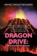 Dragon Drive - Bild 1