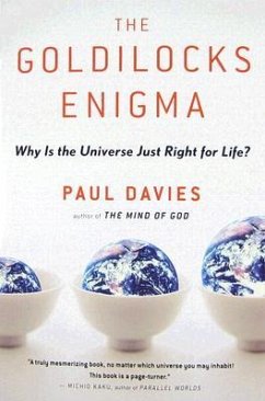 The Goldilocks Enigma - Davies, Paul