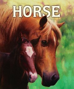 Horse - Doyle, Malachy