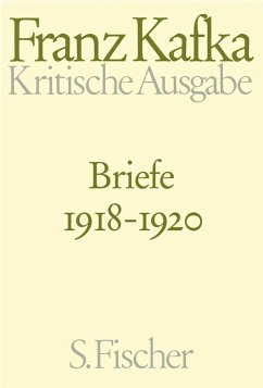 Briefe 1918-1920 / Briefe Franz Kafka Bd.4 (Kritische Ausgabe) - Kafka, Franz