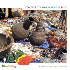 Voyage To The Melting Pot - Diverse