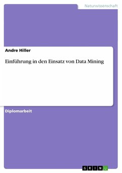 Einführung in den Einsatz von Data Mining (German Edition)