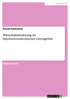 Wirtschaftsförderung im bayerisch-tschechischen Grenzgebiet - Parkmann, David