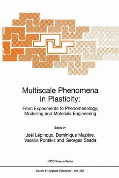 Multiscale Phenomena in Plasticity: From Experiments to Phenomenology, Modelling and Materials Engineering - Lépinoux