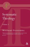 Systematic Theology Vol 3