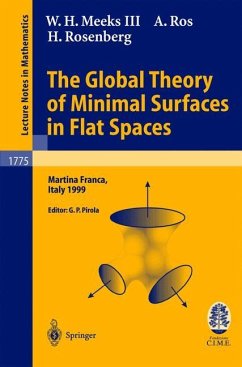 The Global Theory of Minimal Surfaces in Flat Spaces - Meeks, W. H.;Ros, A.;Rosenberg, H.