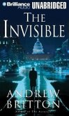 The Invisible