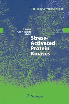 Stress-Activated Protein Kinases