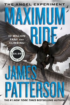The Angel Experiment - Patterson, James