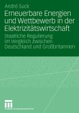 Erneuerbare Energien und Wettbewerb in der Elektrizitätswirtschaft