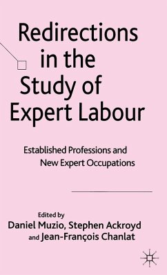 Redirections in the Study of Expert Labour