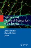 Structural and Functional Organization of the Synapse