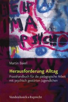 Herausforderung Alltag - Baierl, Martin