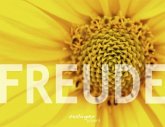 Freude Freude