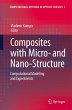 Composites with Micro- and... - Bild 1