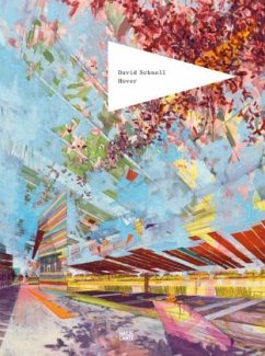 Cover David Schnell, Hover
