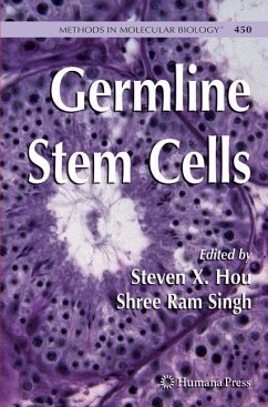 Germline Stem Cells - Hou, Steven X. / Singh, Shree Ram (eds.)