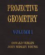 Projective Geometry - Volume I - Bild 1
