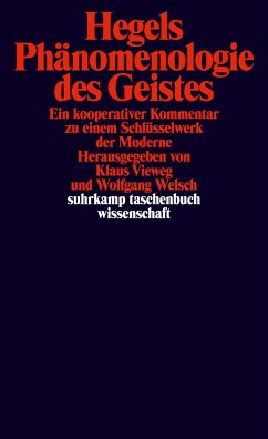 Hegels Phänomenologie des Geistes - Welsch, Wolfgang / Vieweg, Klaus (Hrsg.)