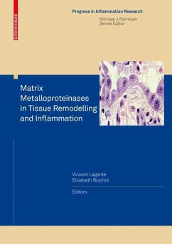 Matrix Metalloproteinases in Tissue Remodelling and Inflammation - Lagente, Vincent / Boichot, Elisabeth (eds.)