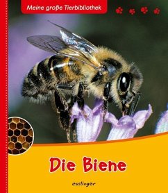 Die Biene / Meine große Tierbibliothek