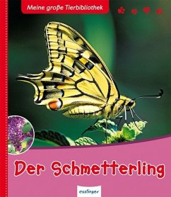 Cover Der Schmetterling / Meine große Tierbibliothek