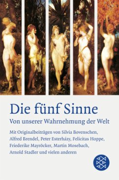 Die fünf Sinne - Hamilton, Anne / Sillem, Peter (Hrsg.)