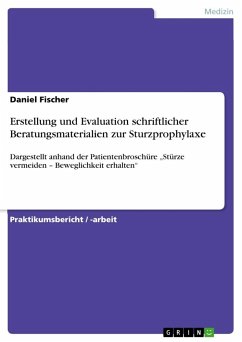 Erstellung und Evaluation schriftlicher Beratungsmaterialien zur Sturzprophylaxe - Fischer, Daniel