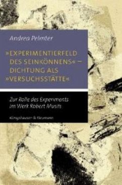 Cover 'Experimentierfeld des Seinkönnens' - Dichtung als 'Versuchsstätte'