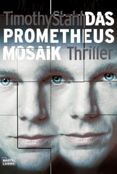 Das Prometheus Mosaik - Stahl, Timothy