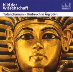 Bild der Wissenschaft: Tutanchamun