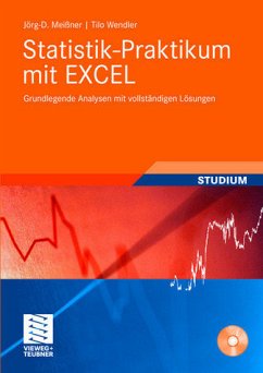 Statistik-Praktikum mit Excel - Meißner, Jörg-D. / Wendler, Tilo