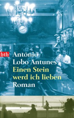 Einen Stein werd ich lieben - Antunes, António Lobo