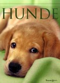 Hunde