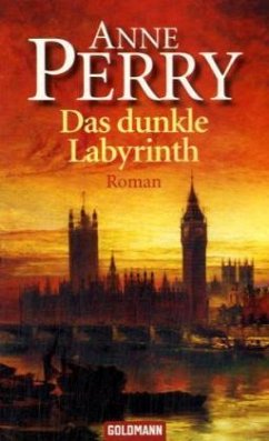 Das dunkle Labyrinth - Perry, Anne