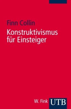Konstruktivismus für Einsteiger - Collin, Finn