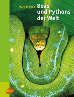Boas und Pythons der Welt - O'Shea, Mark