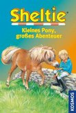 Kleines Pony, großes Abenteuer / Sheltie