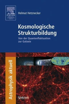 Kosmologische Strukturbildung - Hetznecker, Helmut